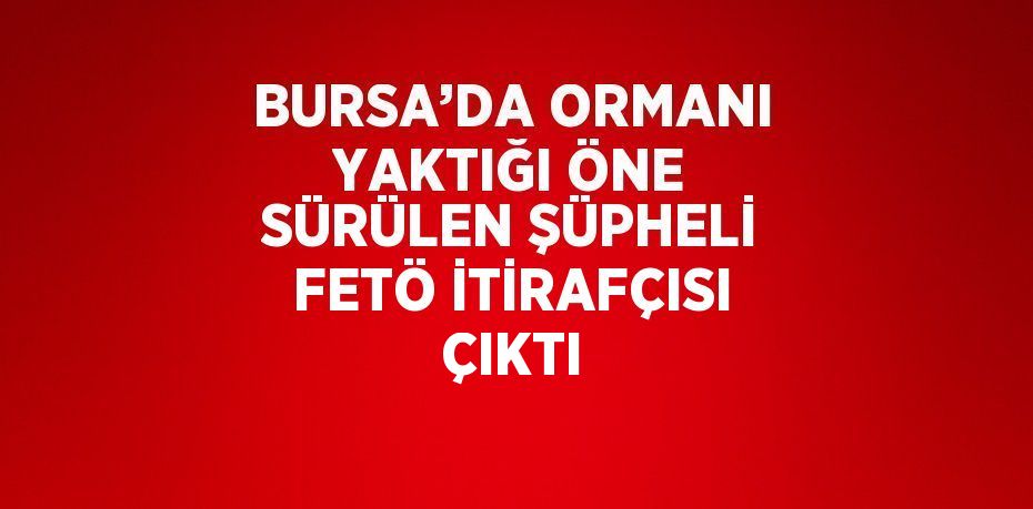 BURSA’DA ORMANI YAKTIĞI ÖNE SÜRÜLEN ŞÜPHELİ FETÖ İTİRAFÇISI ÇIKTI