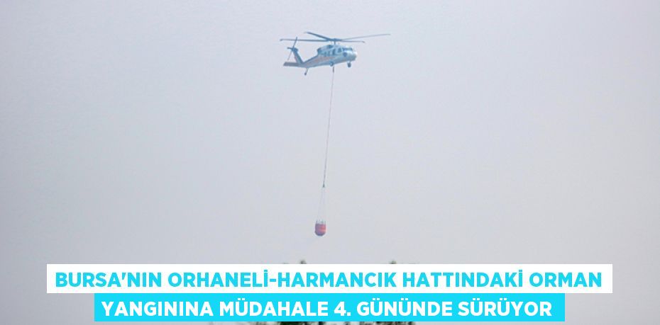 Bursa'nın Orhaneli-Harmancık hattındaki orman yangınına müdahale 4. gününde sürüyor