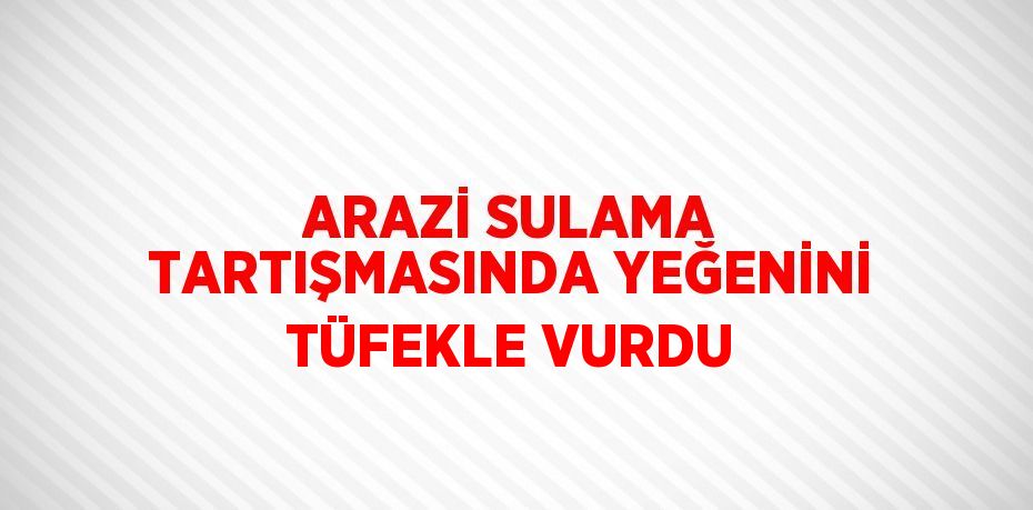 ARAZİ SULAMA TARTIŞMASINDA YEĞENİNİ TÜFEKLE VURDU