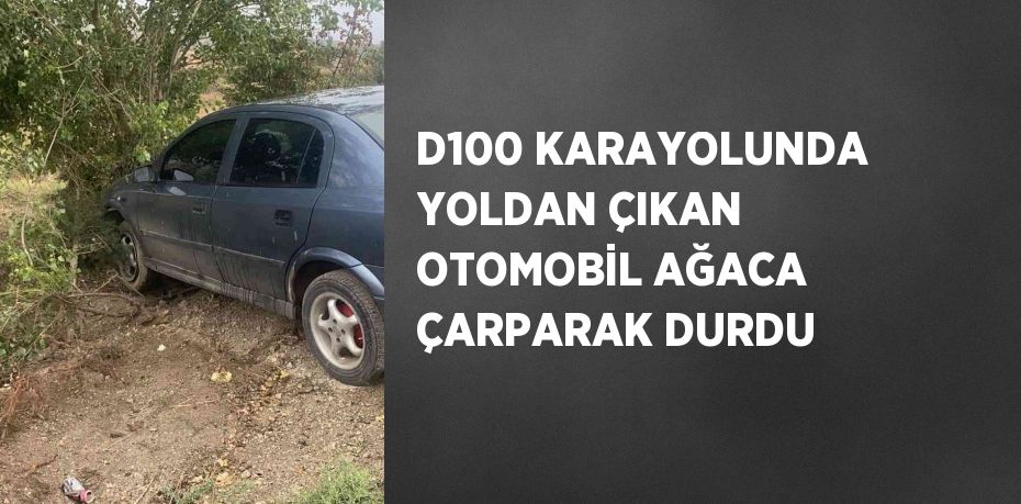 D100 KARAYOLUNDA YOLDAN ÇIKAN OTOMOBİL AĞACA ÇARPARAK DURDU