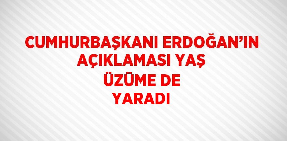 CUMHURBAŞKANI ERDOĞAN’IN AÇIKLAMASI YAŞ ÜZÜME DE YARADI