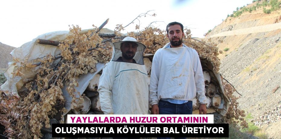 Yaylalarda huzur ortamının oluşmasıyla köylüler bal üretiyor