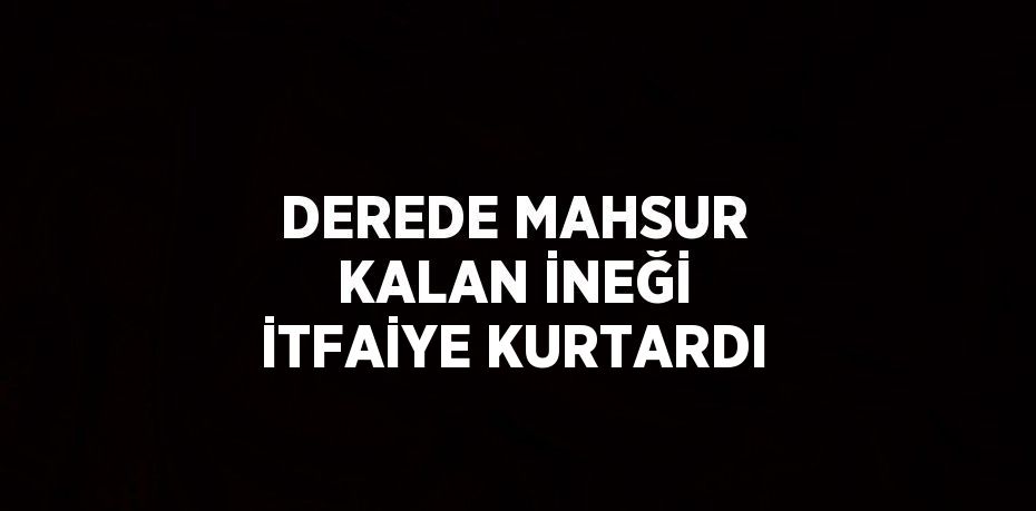 DEREDE MAHSUR KALAN İNEĞİ İTFAİYE KURTARDI