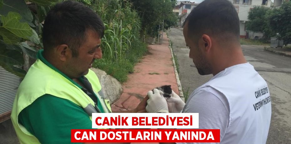 CANİK BELEDİYESİ CAN DOSTLARIN YANINDA