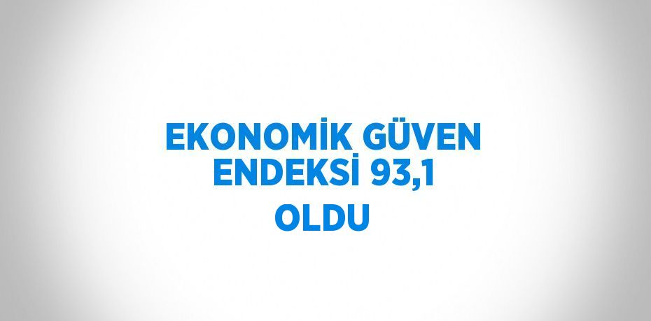 EKONOMİK GÜVEN ENDEKSİ 93,1 OLDU