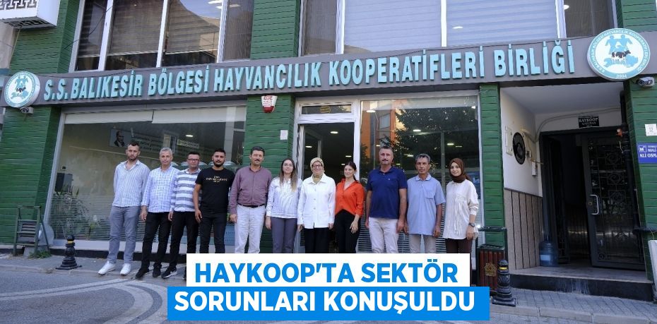 HAYKOOP'TA SEKTÖR SORUNLARI KONUŞULDU