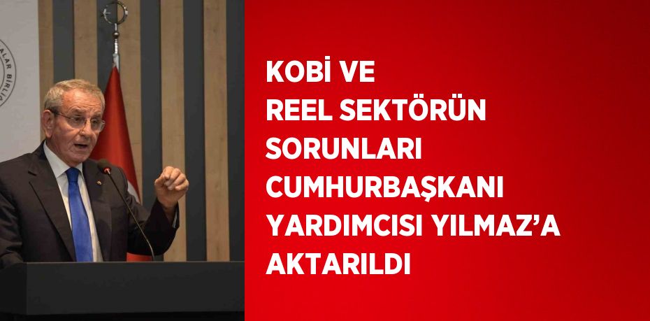 KOBİ VE REEL SEKTÖRÜN SORUNLARI CUMHURBAŞKANI YARDIMCISI YILMAZ’A AKTARILDI