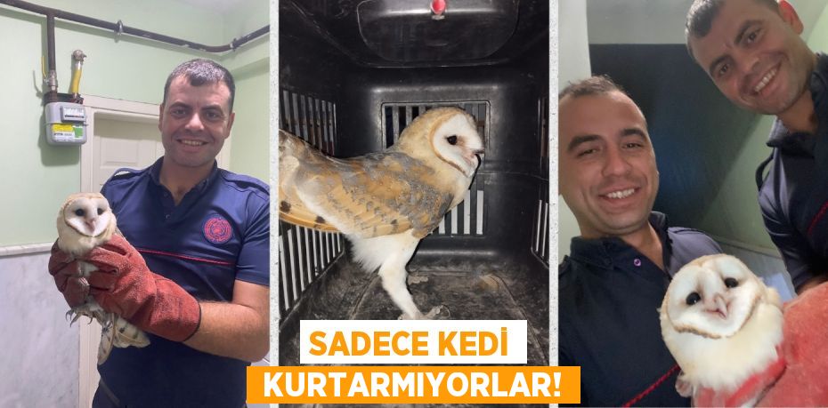 SADECE KEDİ  KURTARMIYORLAR!