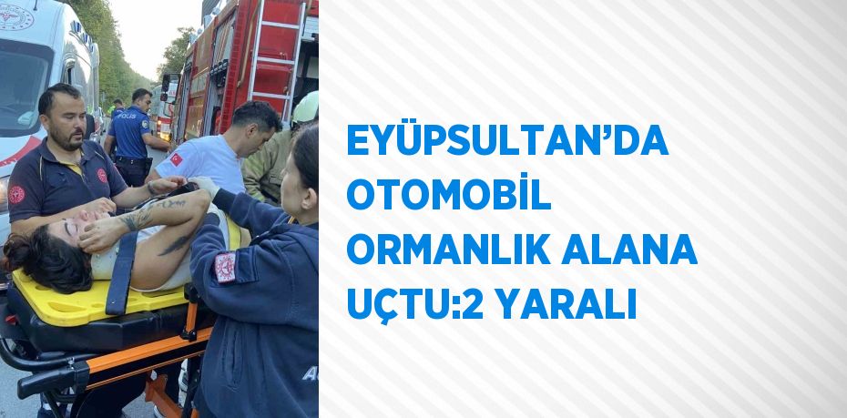 EYÜPSULTAN’DA OTOMOBİL ORMANLIK ALANA UÇTU:2 YARALI