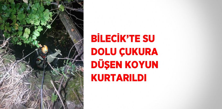 BİLECİK’TE SU DOLU ÇUKURA DÜŞEN KOYUN KURTARILDI