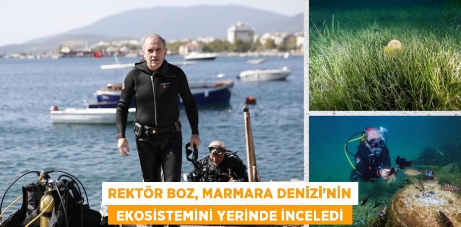 REKTÖR BOZ, MARMARA DENİZİ'NİN  EKOSİSTEMİNİ YERİNDE İNCELEDİ