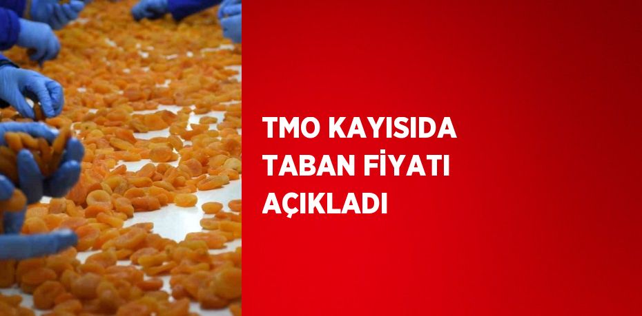 TMO KAYISIDA TABAN FİYATI AÇIKLADI