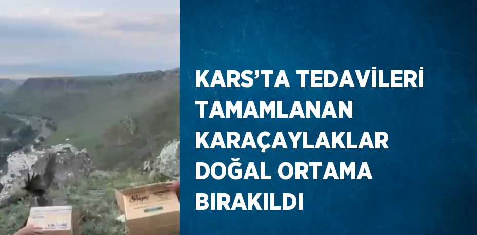 KARS’TA TEDAVİLERİ TAMAMLANAN KARAÇAYLAKLAR DOĞAL ORTAMA BIRAKILDI