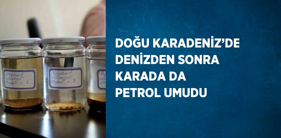 DOĞU KARADENİZ’DE DENİZDEN SONRA KARADA DA PETROL UMUDU