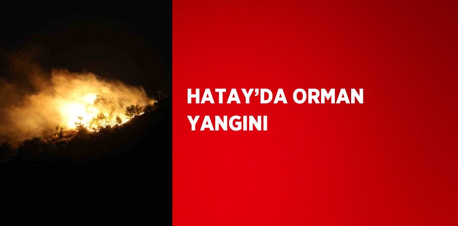 HATAY’DA ORMAN YANGINI