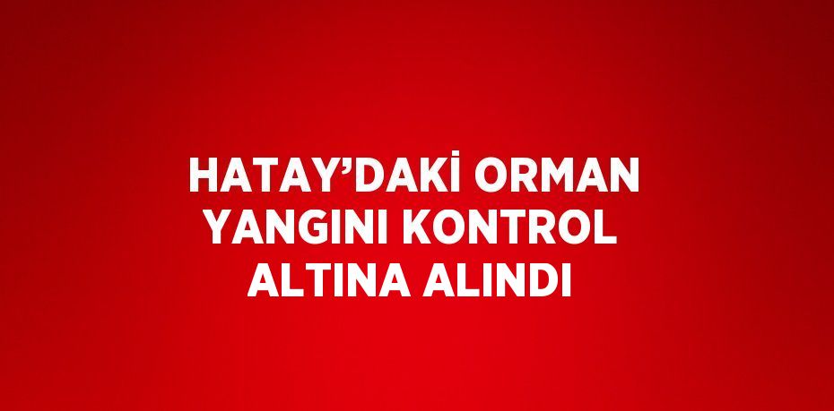 HATAY’DAKİ ORMAN YANGINI KONTROL ALTINA ALINDI