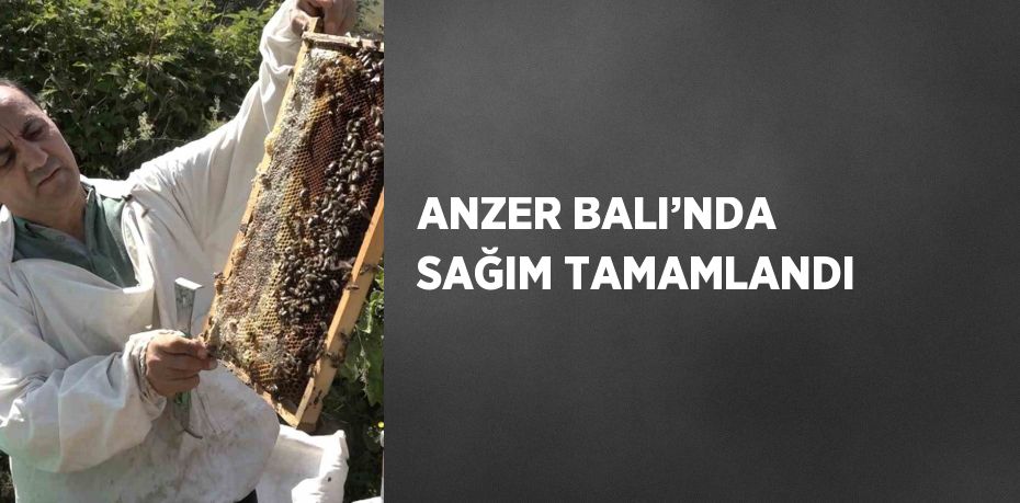 ANZER BALI’NDA SAĞIM TAMAMLANDI