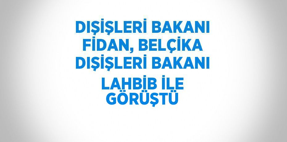 DIŞİŞLERİ BAKANI FİDAN, BELÇİKA DIŞİŞLERİ BAKANI LAHBİB İLE GÖRÜŞTÜ