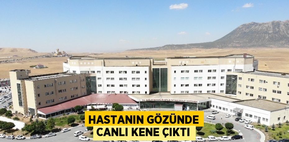 HASTANIN GÖZÜNDE CANLI KENE ÇIKTI