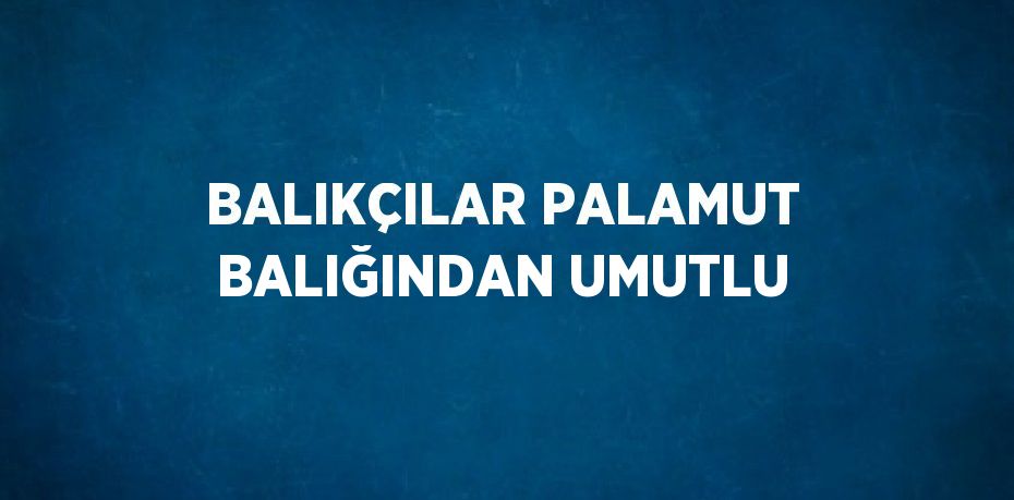 BALIKÇILAR PALAMUT BALIĞINDAN UMUTLU