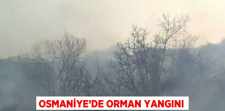 OSMANİYE’DE ORMAN YANGINI