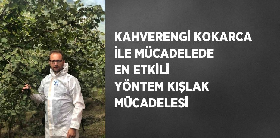 KAHVERENGİ KOKARCA İLE MÜCADELEDE EN ETKİLİ YÖNTEM KIŞLAK MÜCADELESİ