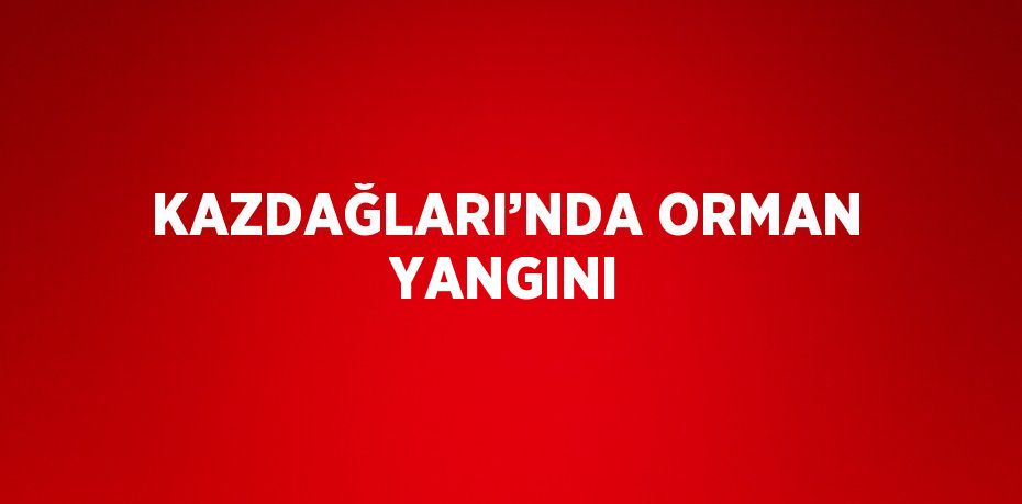 KAZDAĞLARI’NDA ORMAN YANGINI