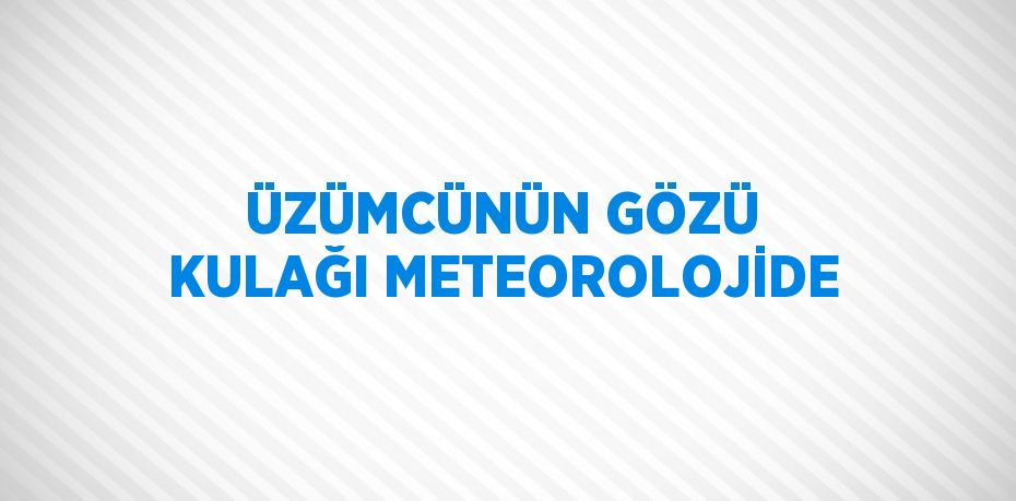 ÜZÜMCÜNÜN GÖZÜ KULAĞI METEOROLOJİDE