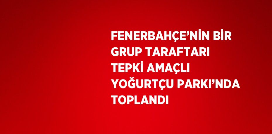 FENERBAHÇE’NİN BİR GRUP TARAFTARI TEPKİ AMAÇLI YOĞURTÇU PARKI’NDA TOPLANDI