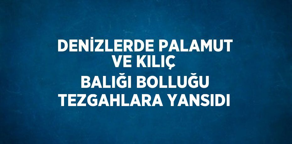 DENİZLERDE PALAMUT VE KILIÇ BALIĞI BOLLUĞU TEZGAHLARA YANSIDI