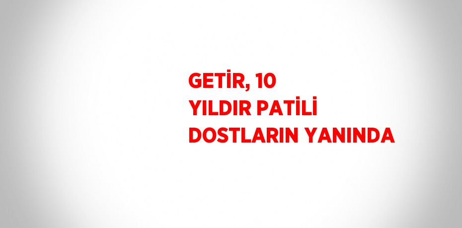 GETİR, 10 YILDIR PATİLİ DOSTLARIN YANINDA