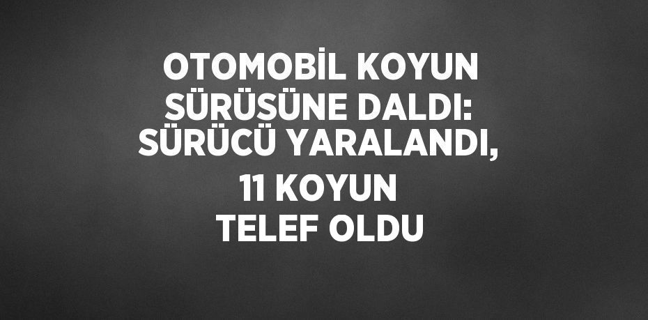 OTOMOBİL KOYUN SÜRÜSÜNE DALDI: SÜRÜCÜ YARALANDI, 11 KOYUN TELEF OLDU