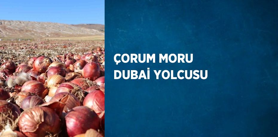 ÇORUM MORU DUBAİ YOLCUSU