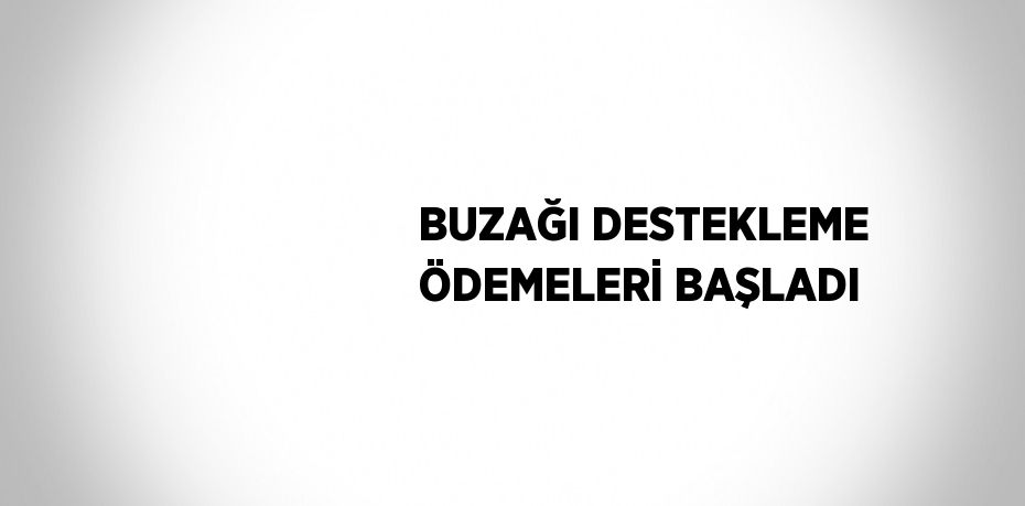 BUZAĞI DESTEKLEME ÖDEMELERİ BAŞLADI