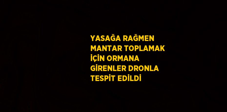 YASAĞA RAĞMEN MANTAR TOPLAMAK İÇİN ORMANA GİRENLER DRONLA TESPİT EDİLDİ