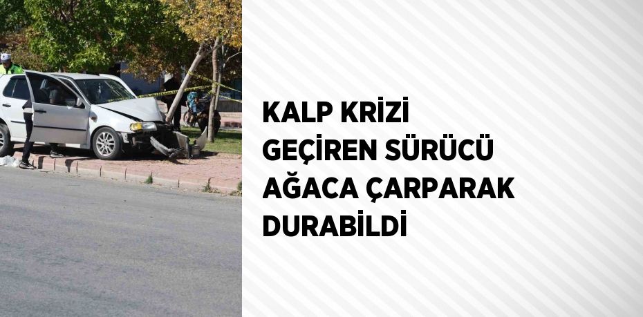 KALP KRİZİ GEÇİREN SÜRÜCÜ AĞACA ÇARPARAK DURABİLDİ