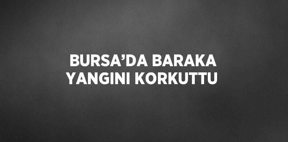 BURSA’DA BARAKA YANGINI KORKUTTU