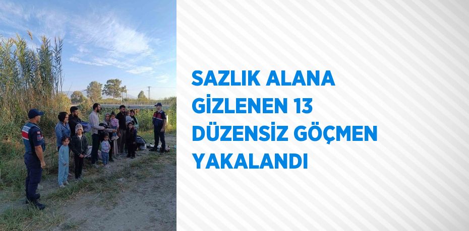 SAZLIK ALANA GİZLENEN 13 DÜZENSİZ GÖÇMEN YAKALANDI