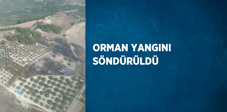 ORMAN YANGINI SÖNDÜRÜLDÜ