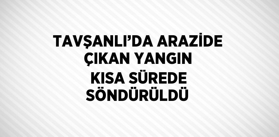 TAVŞANLI’DA ARAZİDE ÇIKAN YANGIN KISA SÜREDE SÖNDÜRÜLDÜ