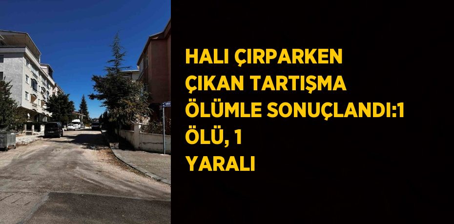 HALI ÇIRPARKEN ÇIKAN TARTIŞMA ÖLÜMLE SONUÇLANDI:1 ÖLÜ, 1 YARALI