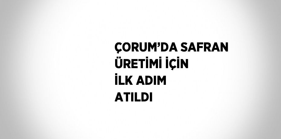 ÇORUM’DA SAFRAN ÜRETİMİ İÇİN İLK ADIM ATILDI