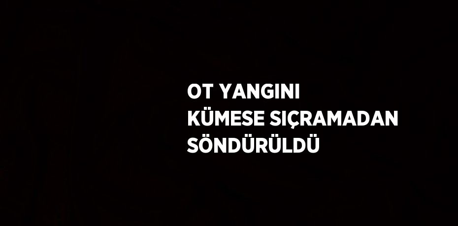 OT YANGINI KÜMESE SIÇRAMADAN SÖNDÜRÜLDÜ