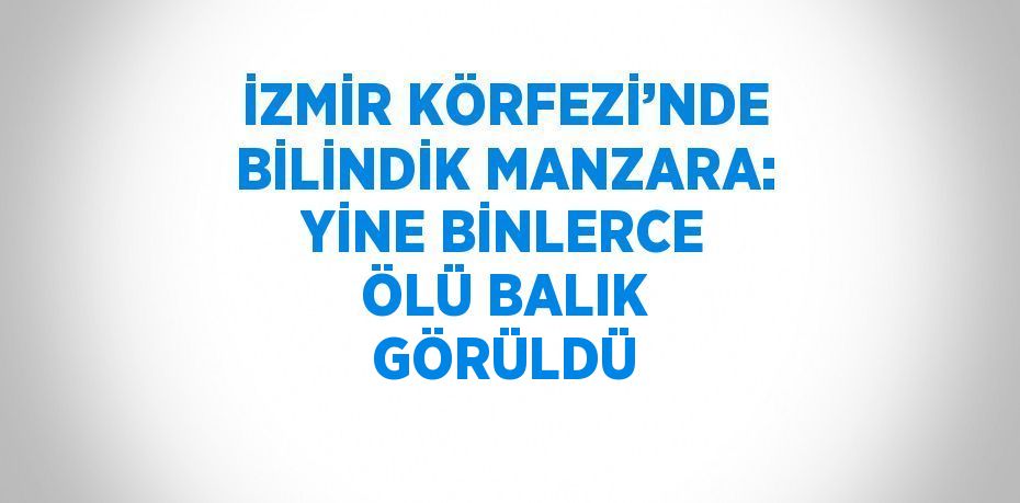 İZMİR KÖRFEZİ’NDE BİLİNDİK MANZARA: YİNE BİNLERCE ÖLÜ BALIK GÖRÜLDÜ