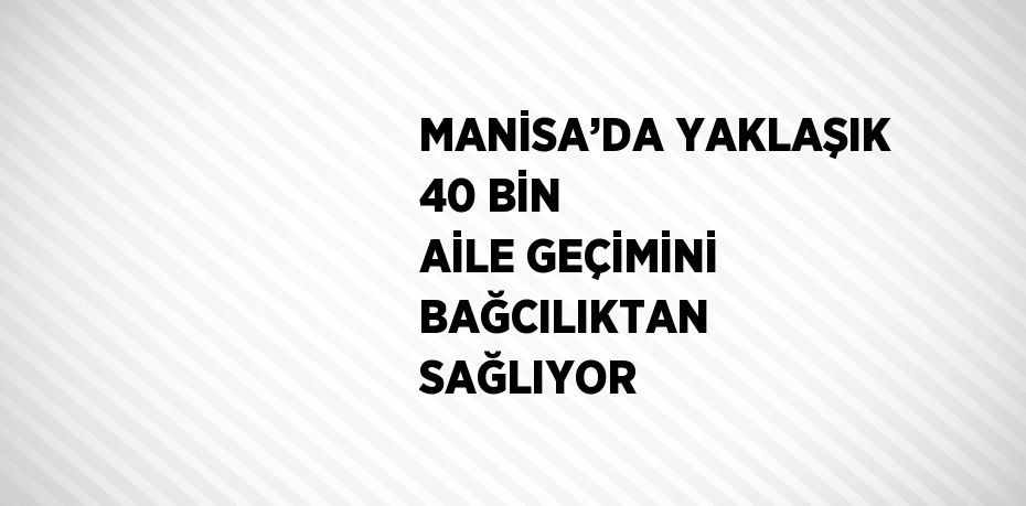 MANİSA’DA YAKLAŞIK 40 BİN AİLE GEÇİMİNİ BAĞCILIKTAN SAĞLIYOR