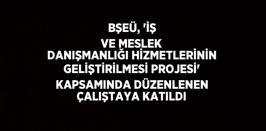 BŞEÜ, 'İŞ VE MESLEK DANIŞMANLIĞI HİZMETLERİNİN GELİŞTİRİLMESİ PROJESİ' KAPSAMINDA DÜZENLENEN ÇALIŞTAYA KATILDI