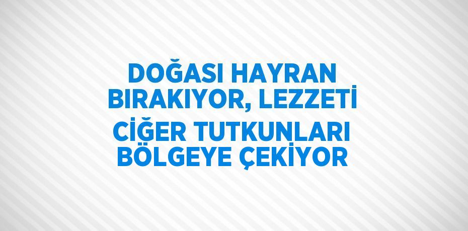 DOĞASI HAYRAN BIRAKIYOR, LEZZETİ CİĞER TUTKUNLARI BÖLGEYE ÇEKİYOR