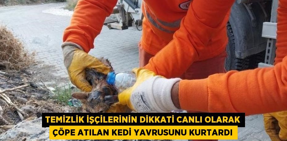 TEMİZLİK İŞÇİLERİNİN DİKKATİ CANLI OLARAK ÇÖPE ATILAN KEDİ YAVRUSUNU KURTARDI