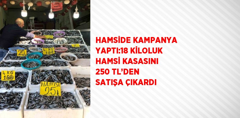 HAMSİDE KAMPANYA YAPTI:18 KİLOLUK HAMSİ KASASINI 250 TL’DEN SATIŞA ÇIKARDI