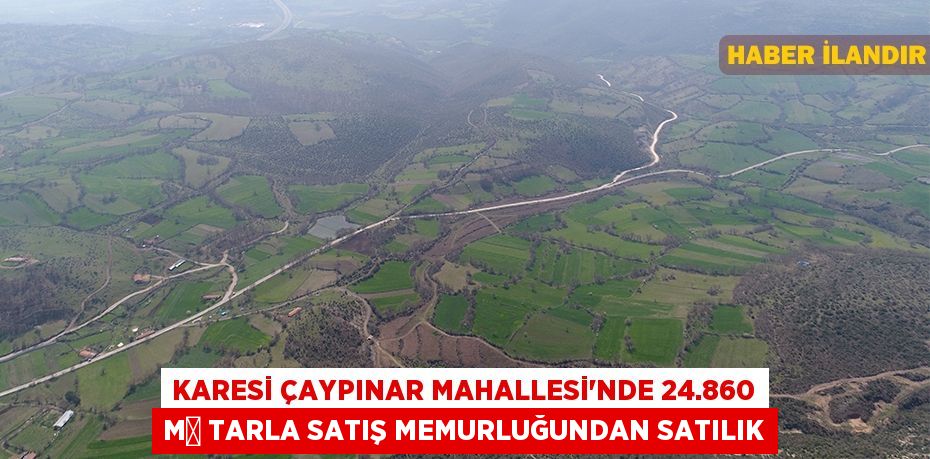 Karesi Çaypınar Mahallesi'nde 24.860 m² tarla satış memurluğundan satılık